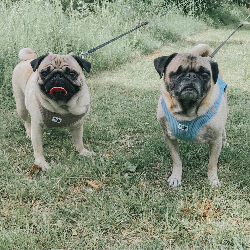 𝕨𝕖𝕝𝕔𝕠𝕞𝕖! - Picture 3 of 4